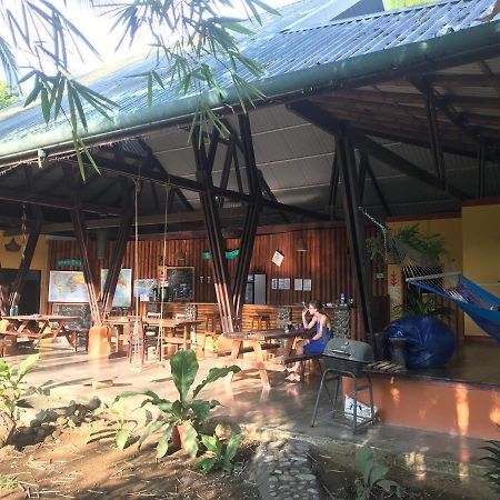 Luminosa Uvita Hostel Εξωτερικό φωτογραφία