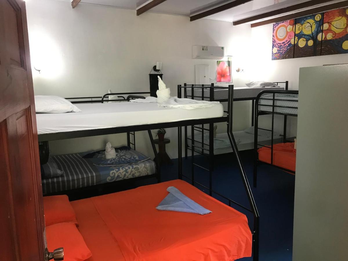 Luminosa Uvita Hostel Εξωτερικό φωτογραφία
