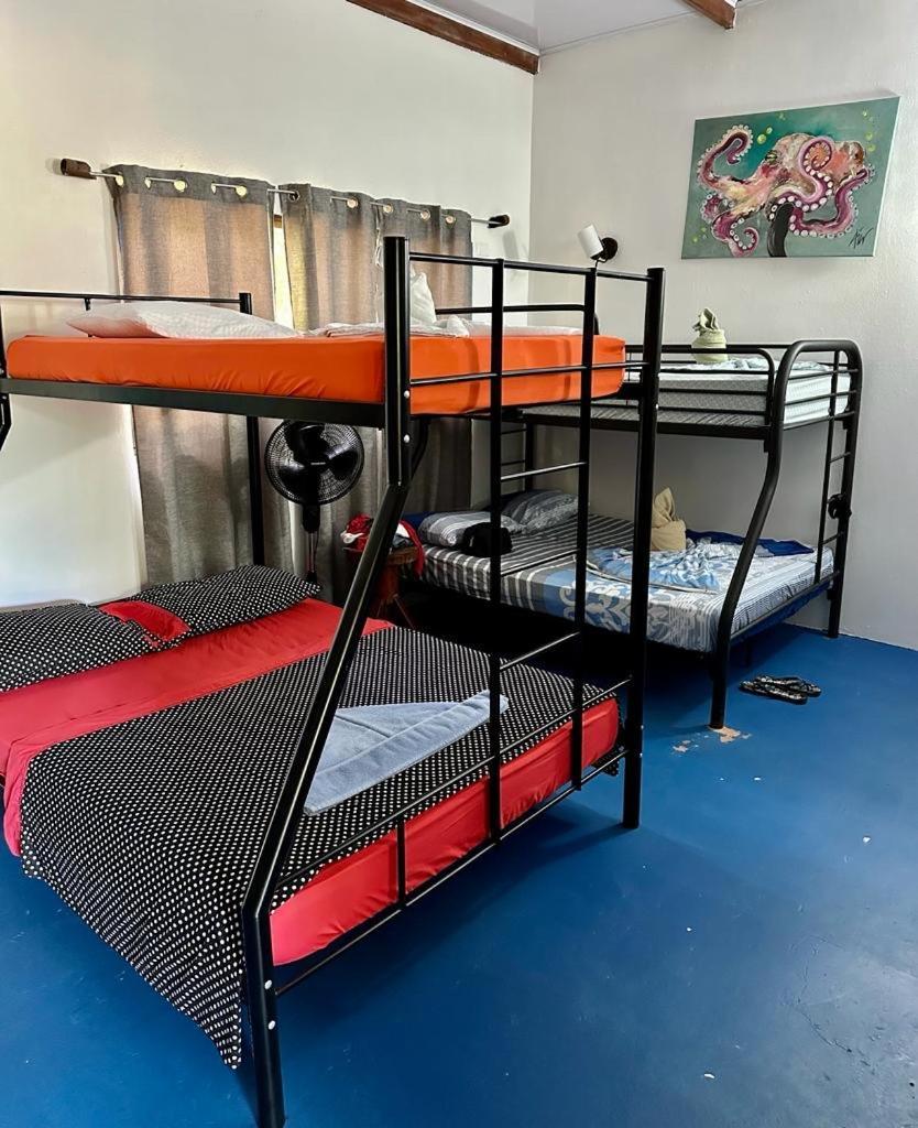 Luminosa Uvita Hostel Εξωτερικό φωτογραφία